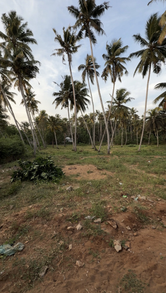  Residential Plot 90 Cent for Sale in Thengapattanam, Kanyakumari