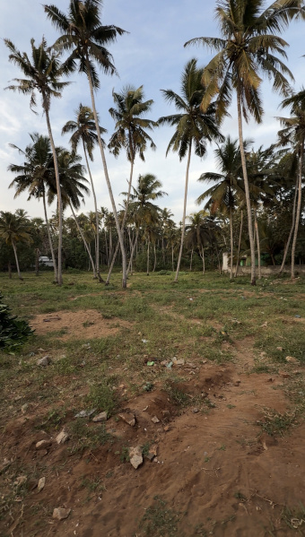  Residential Plot 90 Cent for Sale in Thengapattanam, Kanyakumari