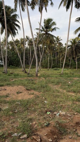  Residential Plot 90 Cent for Sale in Thengapattanam, Kanyakumari