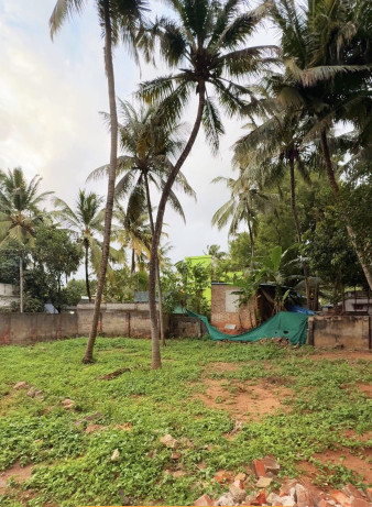 Residential Plot 7 Cent for Sale in Nagercoil, Kanyakumari