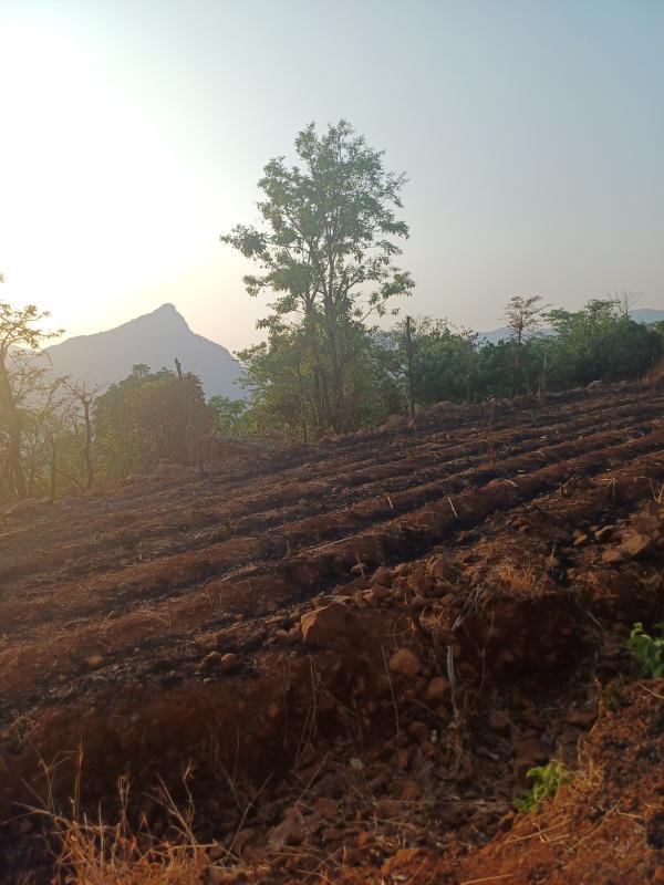  Residential Plot 22000 Sq.ft. for Sale in Pantnagar, Alibag, Raigad