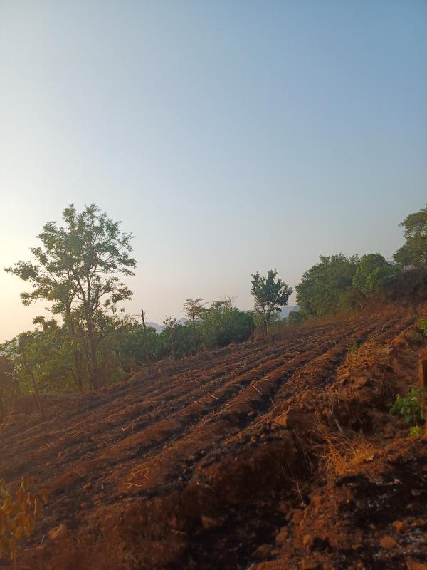  Residential Plot 22000 Sq.ft. for Sale in Pantnagar, Alibag, Raigad