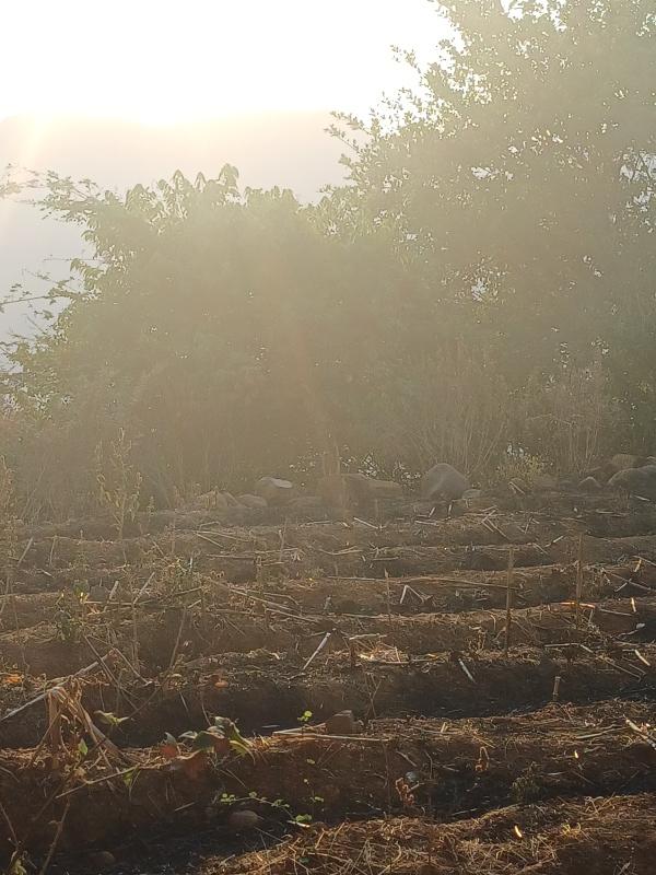  Residential Plot 22000 Sq.ft. for Sale in Pantnagar, Alibag, Raigad