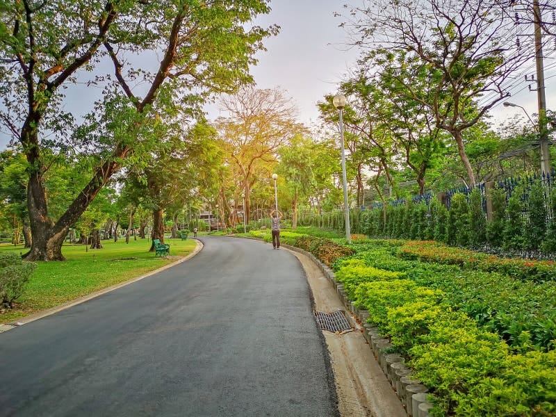  Residential Plot 100 Sq.ft. for Sale in Behala, Kolkata