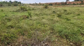  Agricultural Land for Sale in Shoolagiri, Hosur