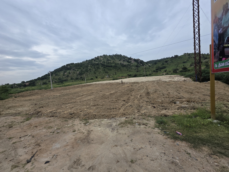  Commercial Land 70 Cent for Rent in Somandepalli, Anantapur