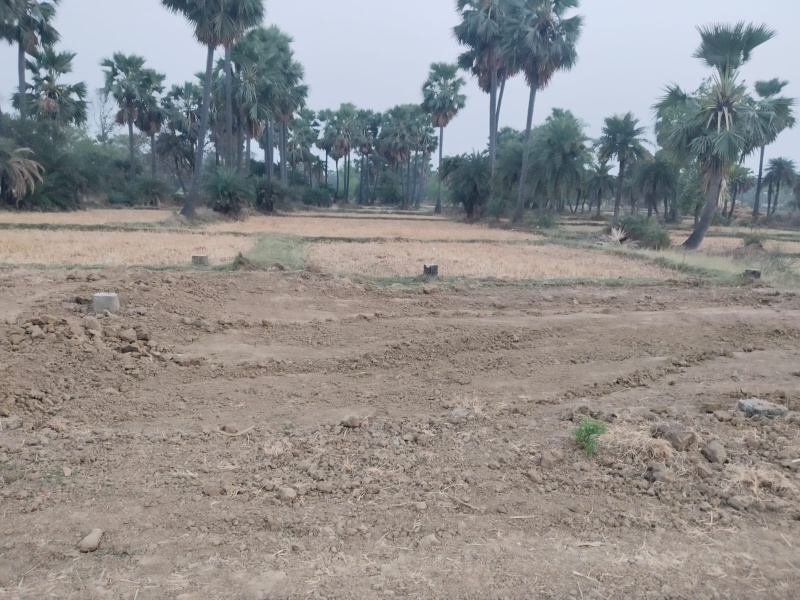  Residential Plot 1360 Sq.ft. for Sale in Bodh Gaya