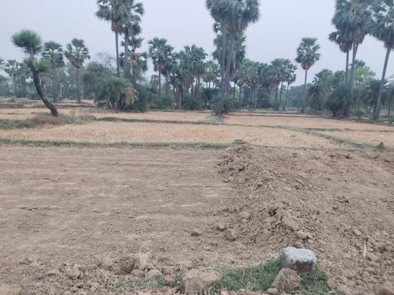  Residential Plot 1360 Sq.ft. for Sale in Bodh Gaya