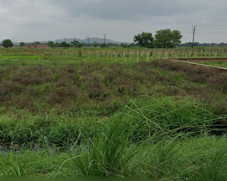  Residential Plot 2030 Sq.ft. for Sale in Bodhgaya, Gaya