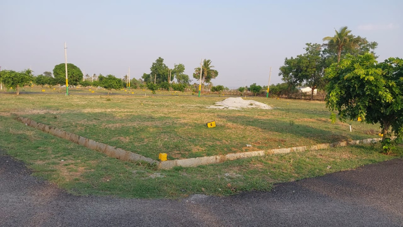  Residential Plot 1200 Sq.ft. for Sale in Gauribidanur, Chikkaballapur, Bangalore