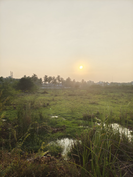 Agricultural Land for Sale in Hospet, Bellary