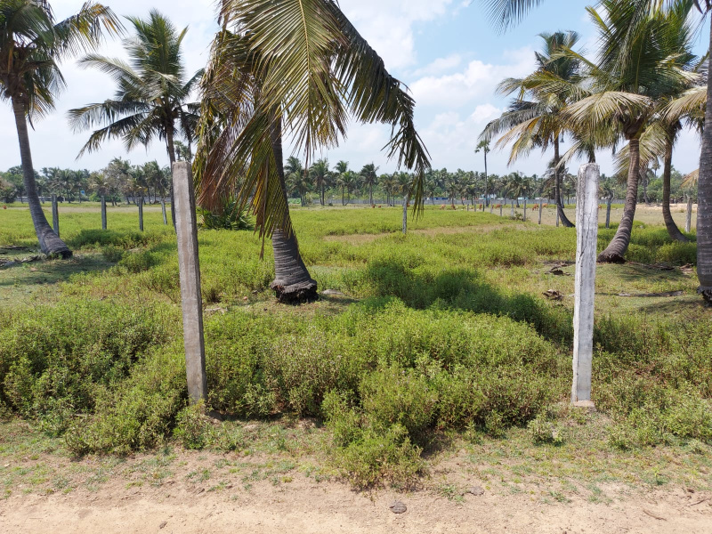  Residential Plot 10 Cent for Sale in Rameswaram, Ramanathapuram