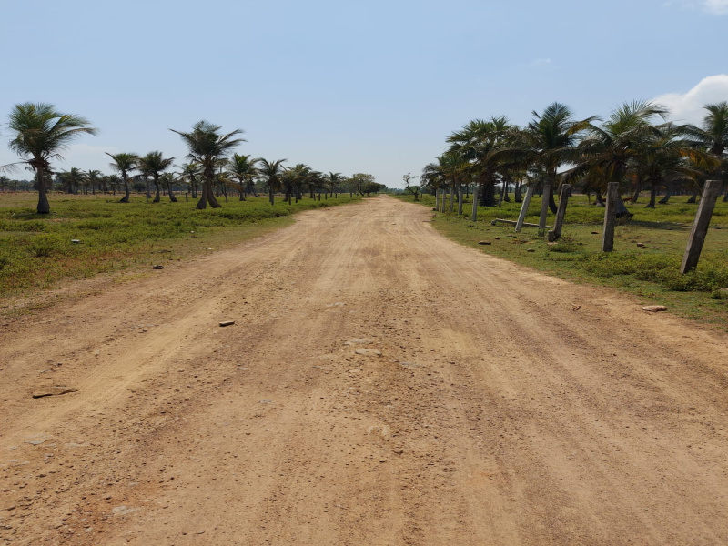  Residential Plot 10 Cent for Sale in Rameswaram, Ramanathapuram