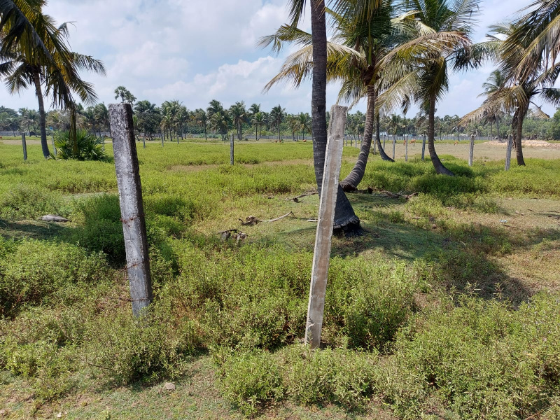  Residential Plot 10 Cent for Sale in Rameswaram, Ramanathapuram