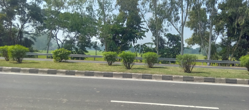  44 Bigha Agricultural/Farm Land for Sale in Raiganj, Uttar Dinajpur