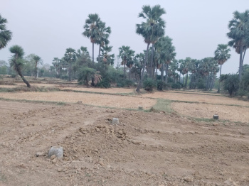  Residential Plot for Sale in Bodh Gaya