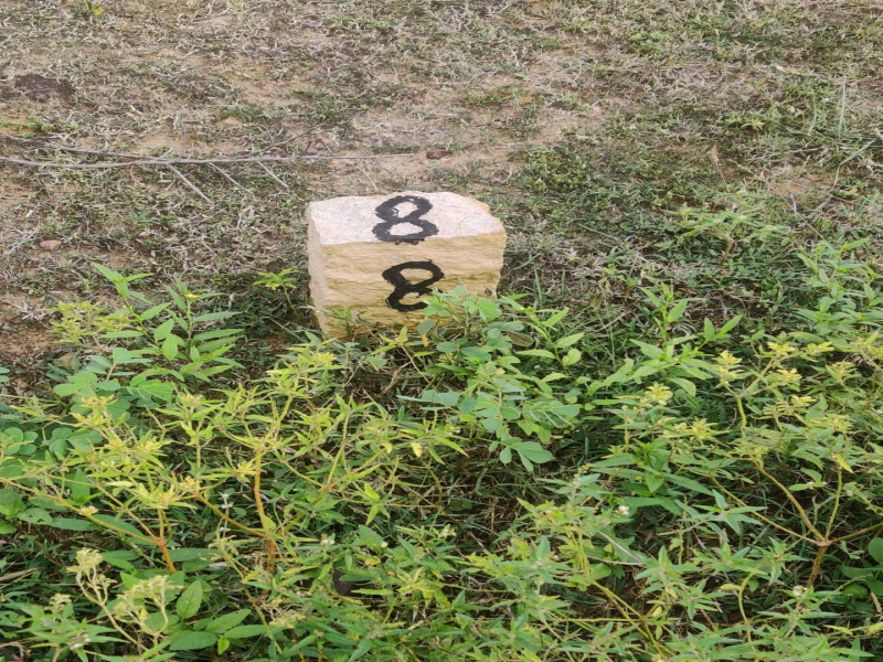  Residential Plot 2460 Sq.ft. for Sale in Guduvancheri, Chennai