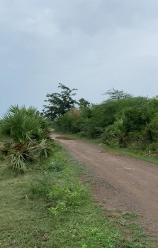  Residential Plot for Sale in Minjur, Chennai