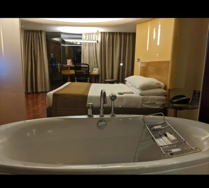  Hotels 600000 Sq.ft. for Sale in Vile Parle, Mumbai