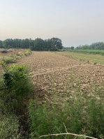  Agricultural Land for Sale in Siana, Bulandshahr