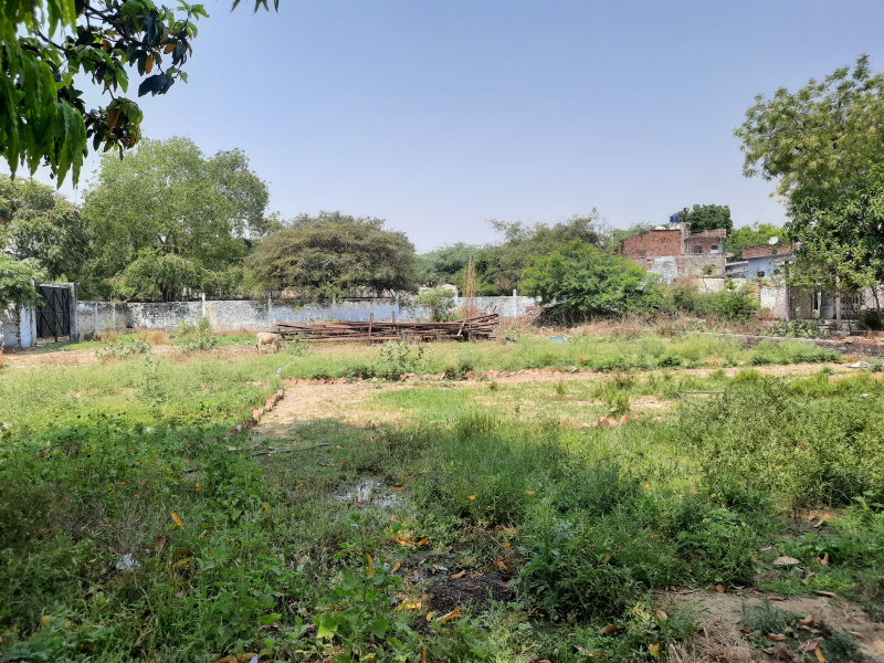  31500 Sq.ft. Residential Plot for Sale in Bithoor, Kanpur