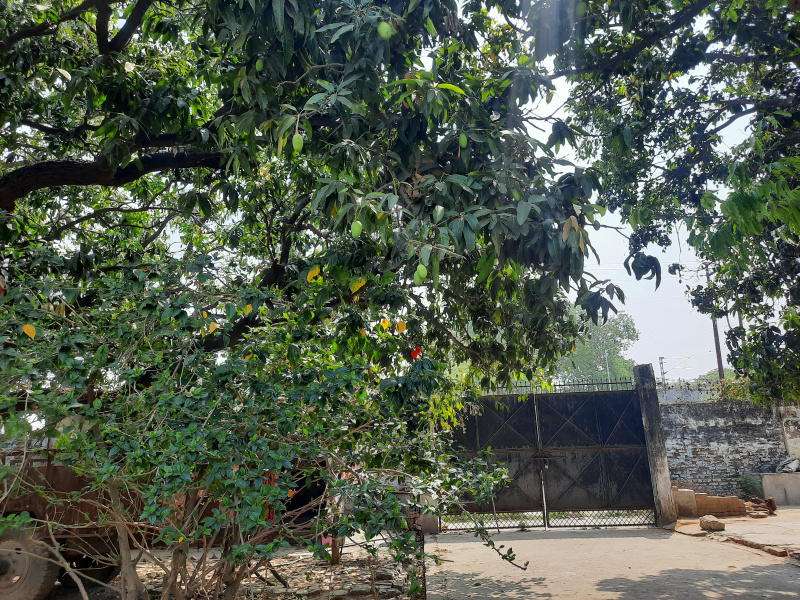  31500 Sq.ft. Residential Plot for Sale in Bithoor, Kanpur