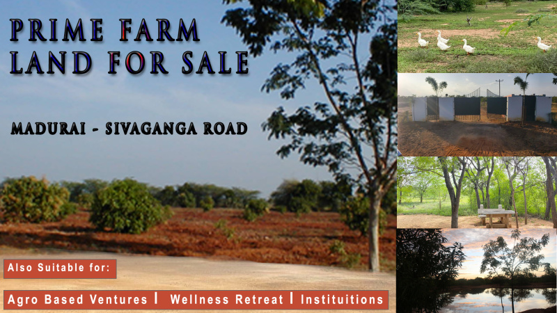 Residential Plot 4 Acre for Sale in Aranmanai Vaasal, Sivaganga