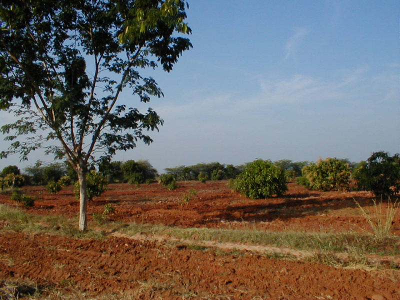  Residential Plot 4 Acre for Sale in Aranmanai Vaasal, Sivaganga