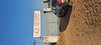  Agricultural Land for Sale in Sarkhej Okaf, Ahmedabad