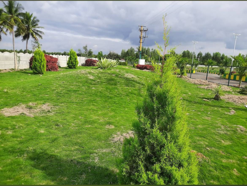  1200 Sq.ft. Residential Plot for Sale in Mulbagal, Kolar