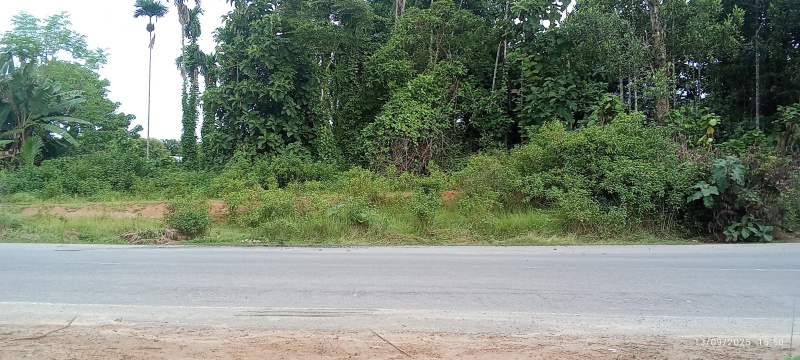  Industrial Land 217804 Sq.ft. for Sale in Panisagar, North Tripura