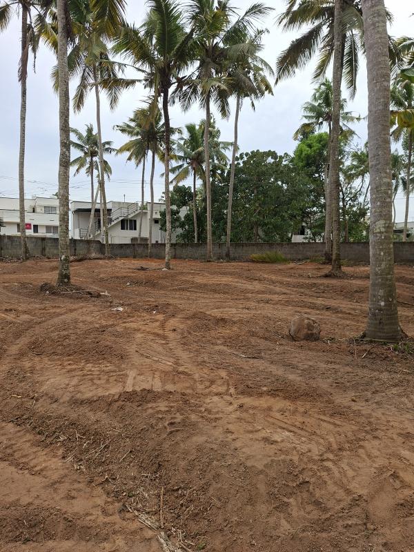  26 Cent Residential Plot for Sale in Chenkottukonam, Thiruvananthapuram