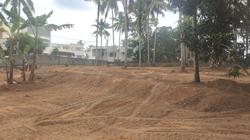  25 Cent Residential Plot for Sale in Chenkottukonam, Thiruvananthapuram