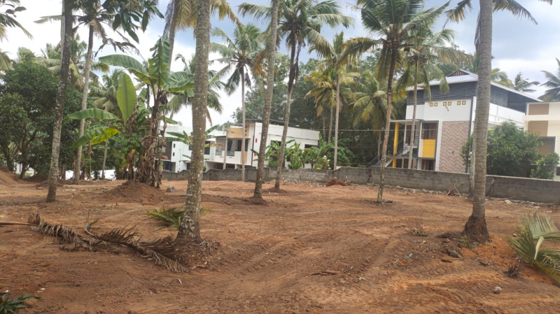  25 Cent Residential Plot for Sale in Chenkottukonam, Thiruvananthapuram