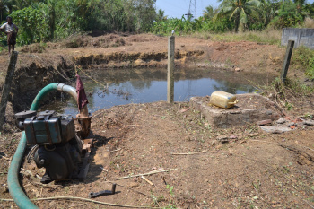  Agricultural Land for Rent in Vellanikkara, Thrissur