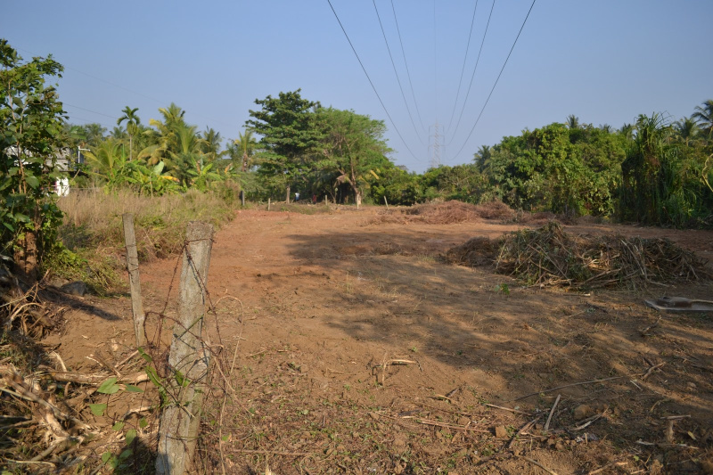  Agricultural Land 50 Cent for Rent in Vellanikkara, Thrissur