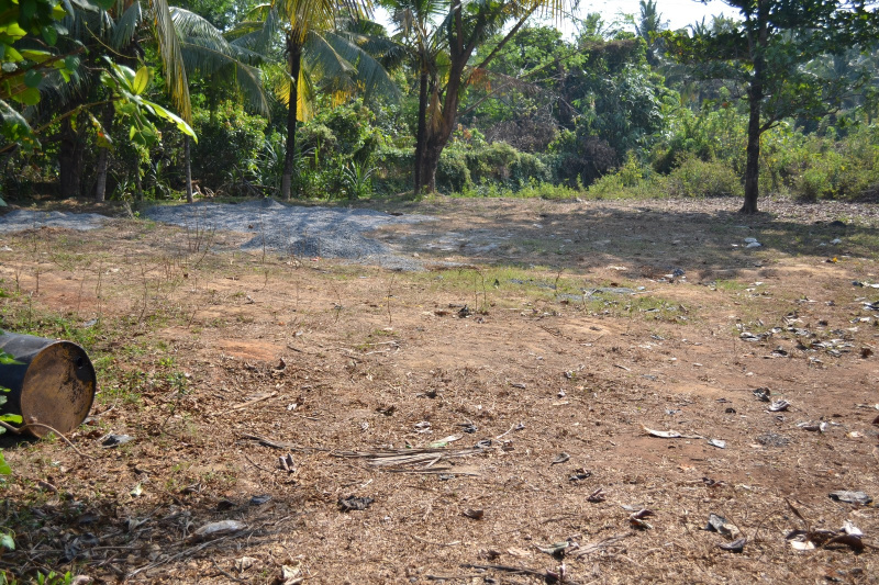  Agricultural Land 50 Cent for Rent in Vellanikkara, Thrissur