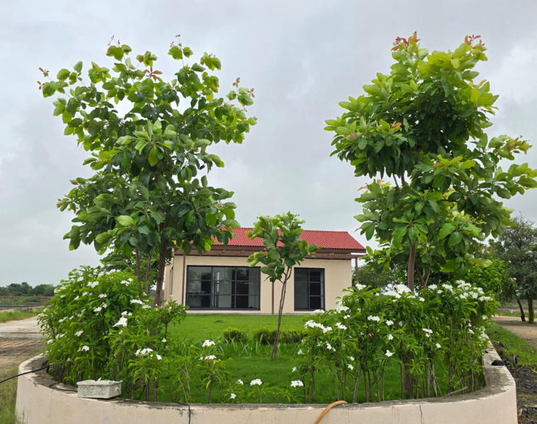 Residential Plot 600 Sq. Yards for Sale in Thol, Ahmedabad