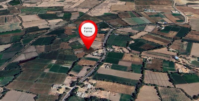  1100 Sq. Yards Residential Plot for Sale in Thol Road, Ahmedabad