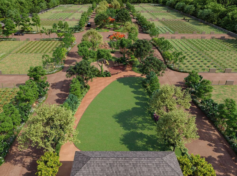  650 Sq. Yards Residential Plot for Sale in Sanand, Ahmedabad