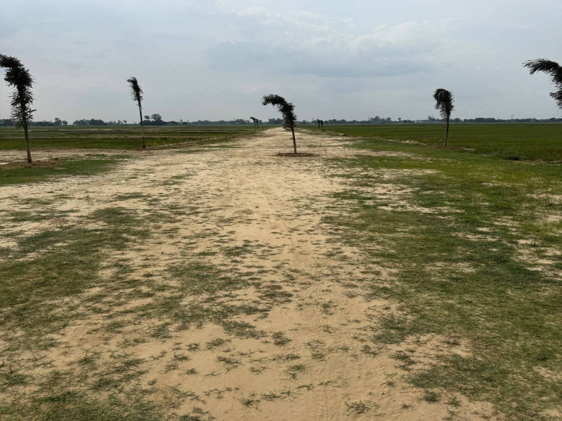 Residential Plot 1000 Sq.ft. for Sale in Maniram, Gorakhpur