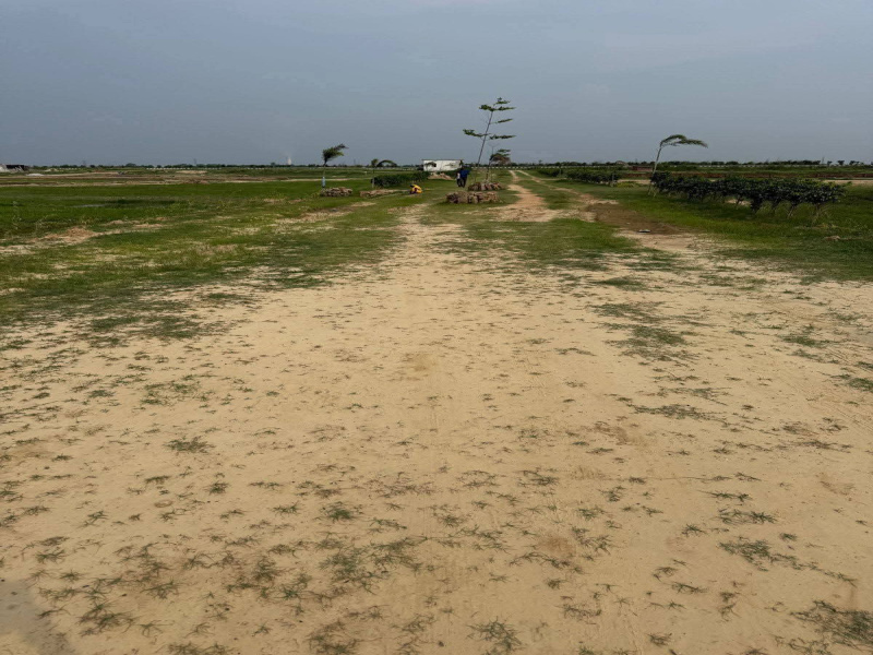  Residential Plot 1000 Sq.ft. for Sale in Maniram, Gorakhpur