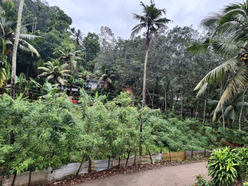  Residential Plot 10455 Sq.ft. for Sale in Pothencode, Thiruvananthapuram