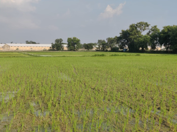  Farm House for Sale in Shahganj, Jaunpur
