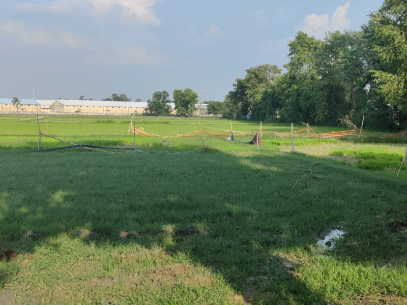  Farm House 13 Biswa for Sale in Shahganj, Jaunpur