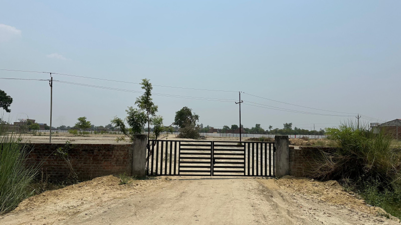  800 Sq.ft. Residential Plot for Sale in Gosainganj, Lucknow