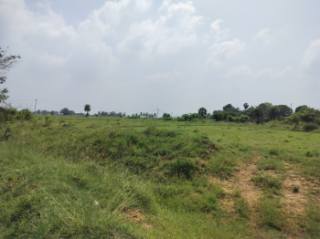  Agricultural Land for Sale in Kalathur, Kanchipuram