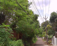  Residential Plot for Sale in Chalakudy, Thrissur