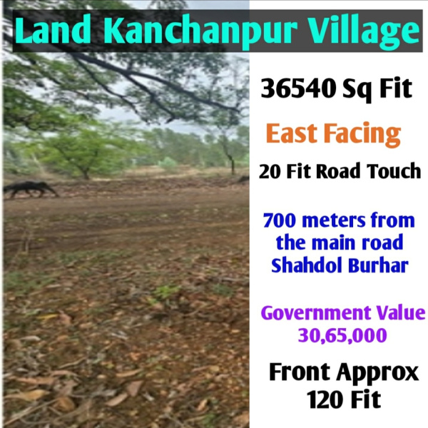  84 Dismil Warehouse for Sale in Kamla Nagar, Shahdol