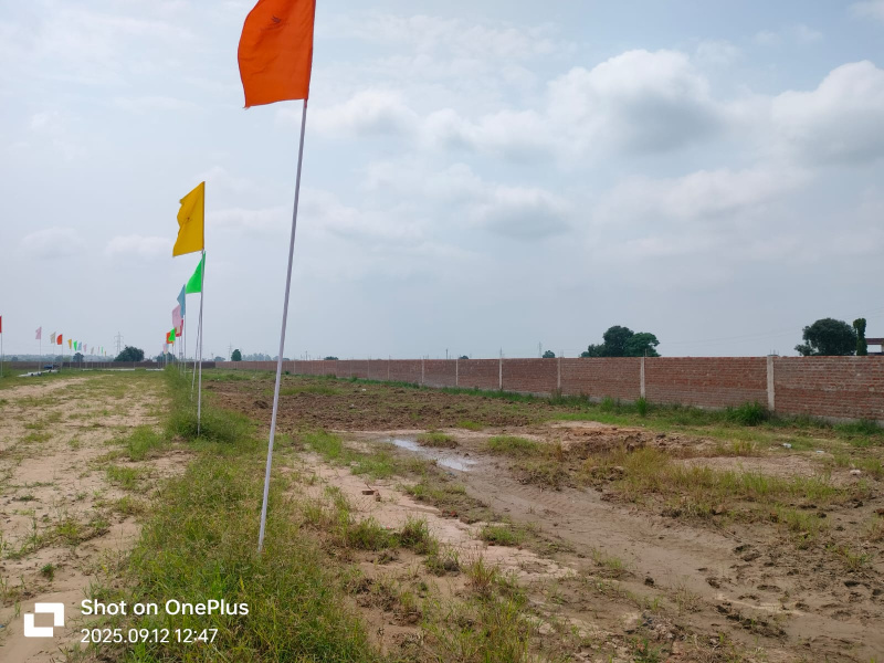 110 Sq. Yards Residential Plot for Sale in Paragpur, Dera Bassi